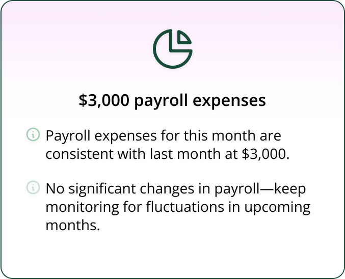 Payroll Expense AI Insight